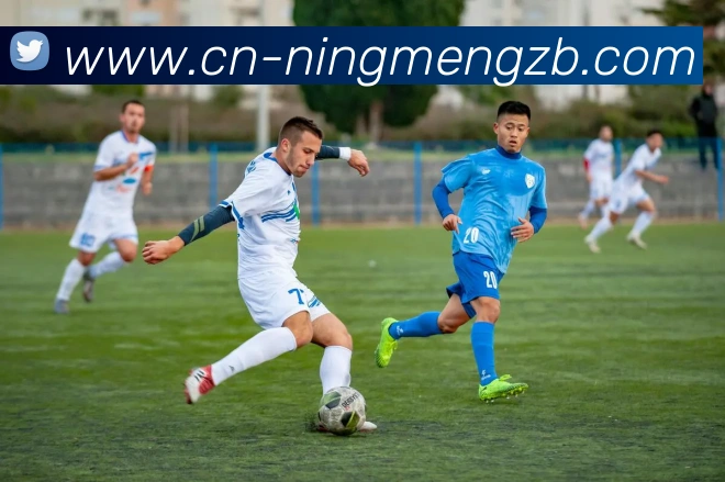 柠檬直播平台生态图